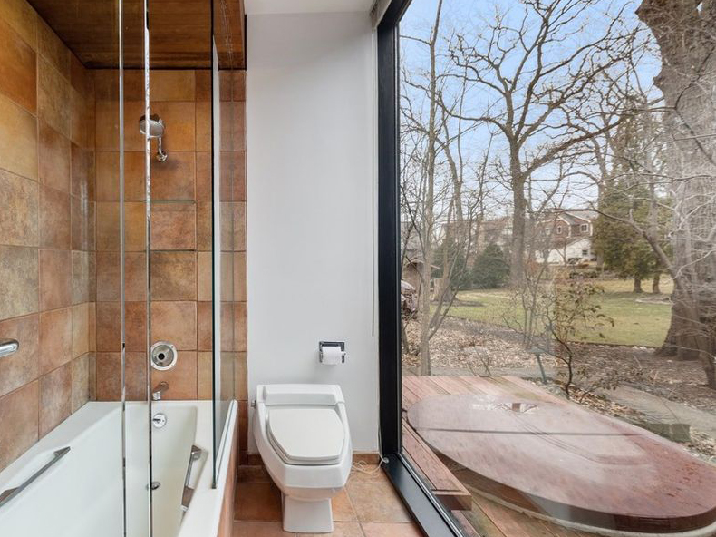 Glass house Illinois bathroom windows shower