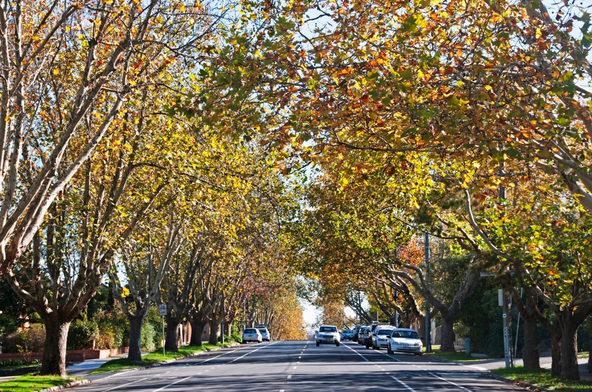 Nice street