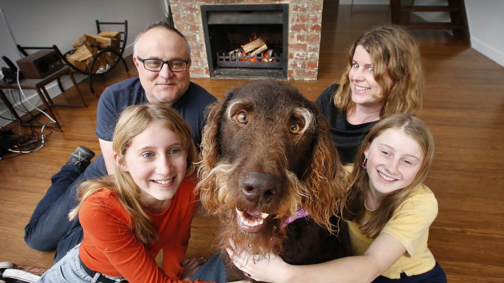 Dog helping owners sell home