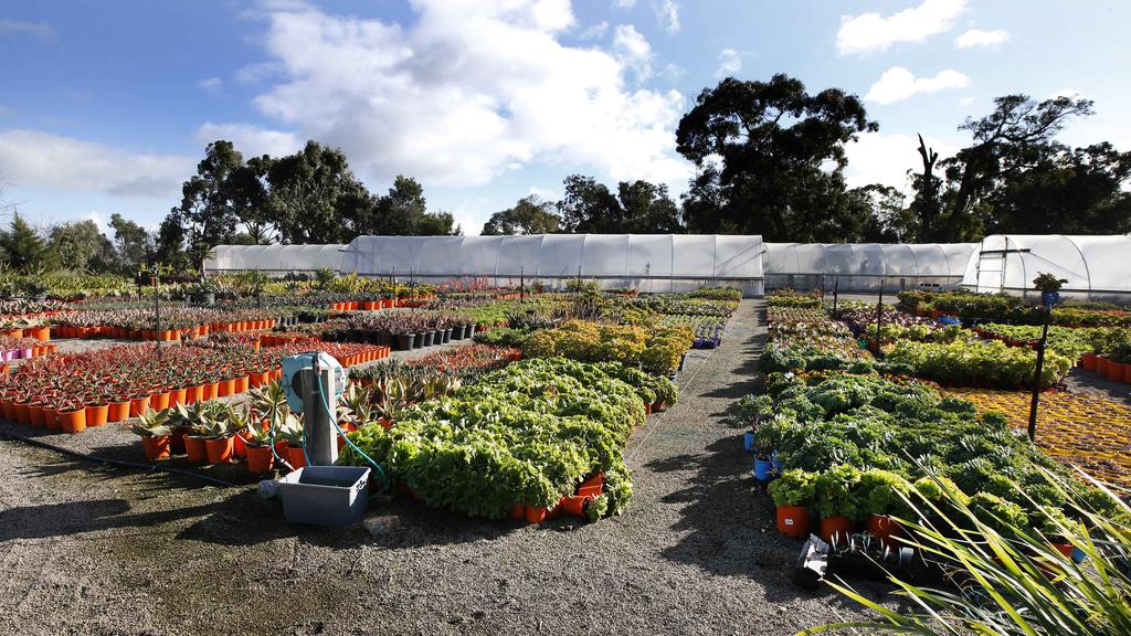 Langwarrin South colourful property