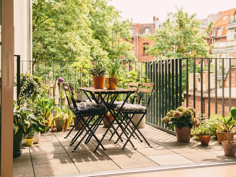 balcony vegetable garden