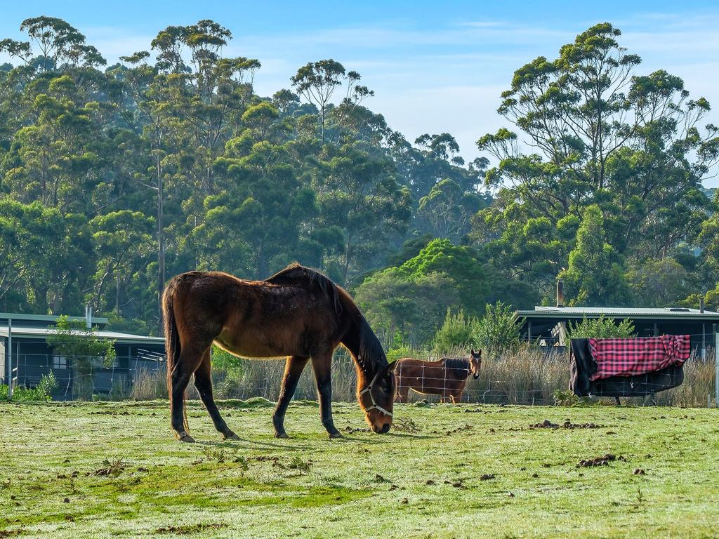 911 Coolangatta Road, Lunawanna. First National.