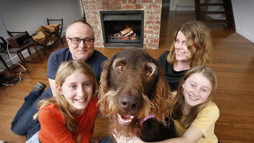 Dog helping owners sell home