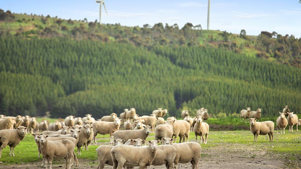 The Yaloak Estate at 4662 Geelong-Ballan Rd, Ballan, is for sale with expectations it could top $50 million (1)