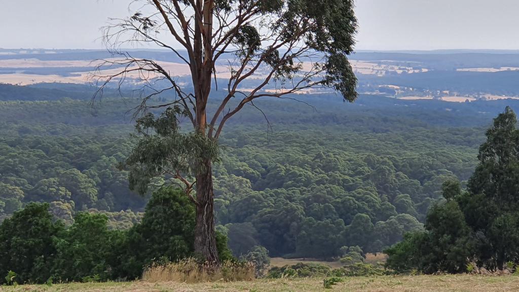 67 Yendon No. 2 Road, Buninyong - for herald sun real estate