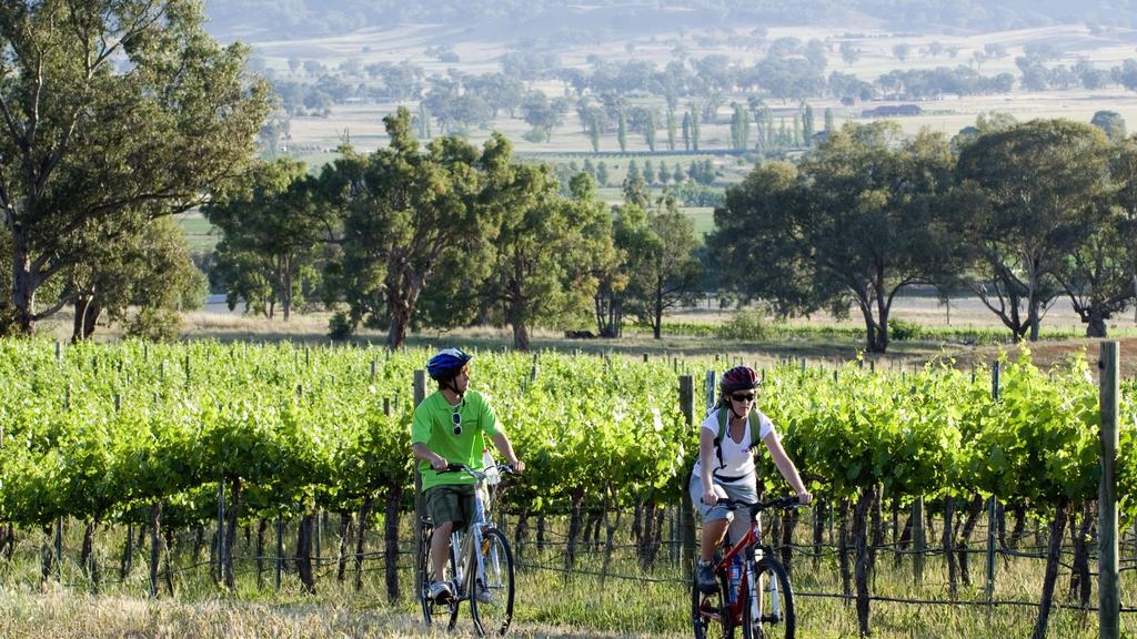 TangoFest 2010, Mudgee, NSW: Cycling around Mt Frome vineyard with Green Pedal Tours. Evolving Images, Tourism NSW.